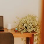 Tips for Creating a Cozy and Productive Home Office Space